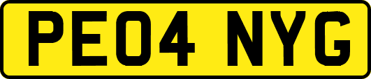 PE04NYG