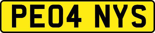 PE04NYS