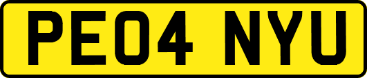 PE04NYU