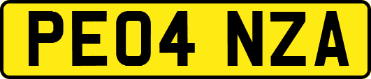 PE04NZA
