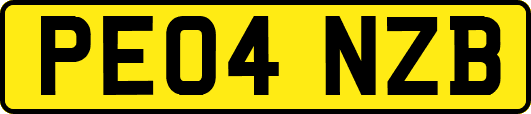 PE04NZB