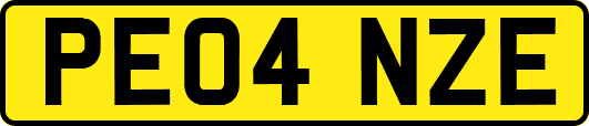 PE04NZE