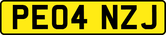 PE04NZJ