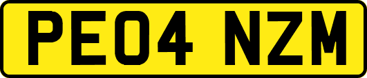 PE04NZM