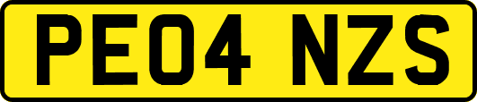 PE04NZS