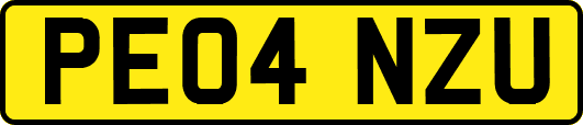 PE04NZU
