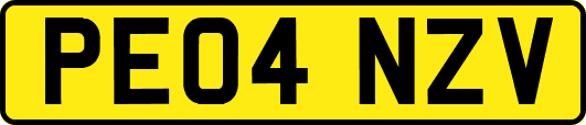 PE04NZV