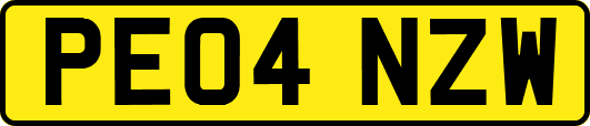 PE04NZW