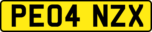 PE04NZX