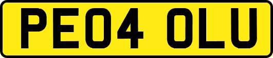 PE04OLU