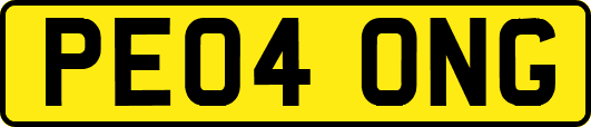 PE04ONG