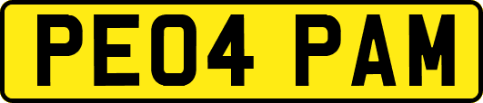 PE04PAM