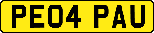 PE04PAU