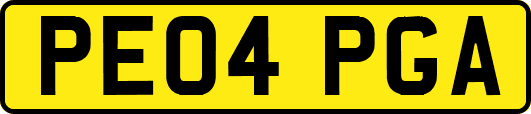 PE04PGA
