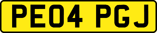 PE04PGJ