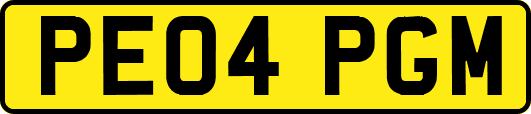 PE04PGM