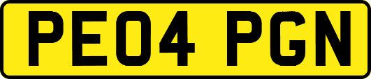 PE04PGN