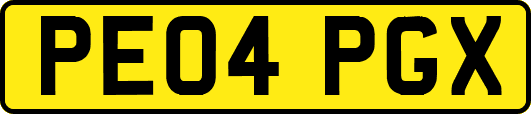 PE04PGX