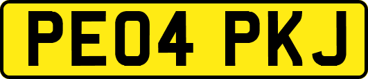 PE04PKJ