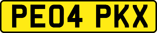 PE04PKX