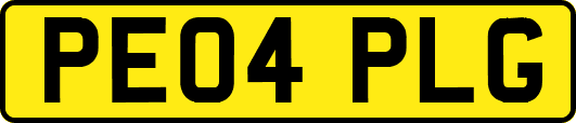 PE04PLG