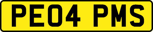 PE04PMS