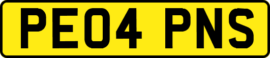 PE04PNS