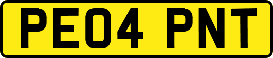 PE04PNT
