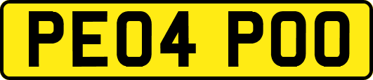 PE04POO