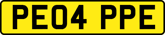 PE04PPE