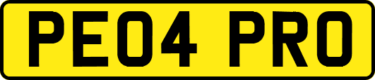 PE04PRO