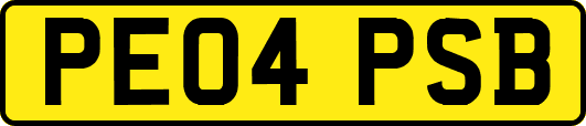 PE04PSB