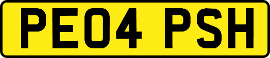 PE04PSH