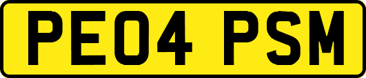 PE04PSM