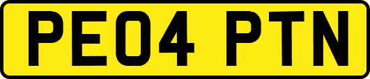 PE04PTN