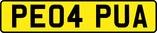 PE04PUA
