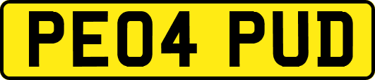 PE04PUD