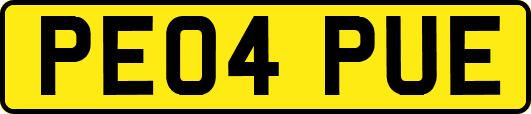 PE04PUE