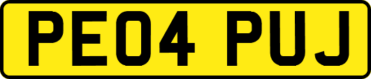PE04PUJ