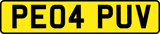 PE04PUV