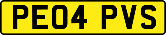 PE04PVS