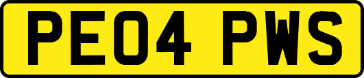 PE04PWS
