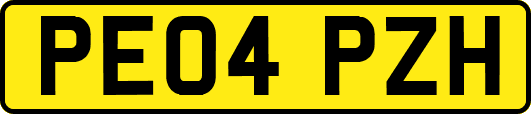 PE04PZH