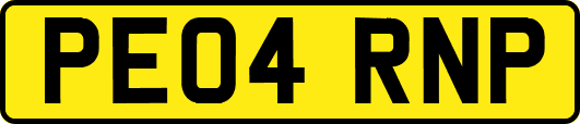 PE04RNP