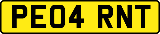 PE04RNT