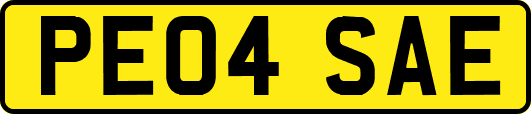 PE04SAE
