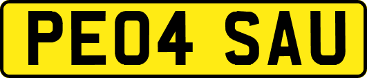 PE04SAU