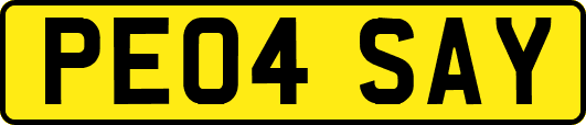 PE04SAY