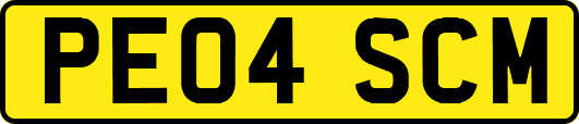 PE04SCM