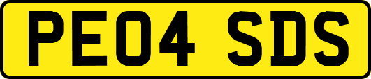 PE04SDS